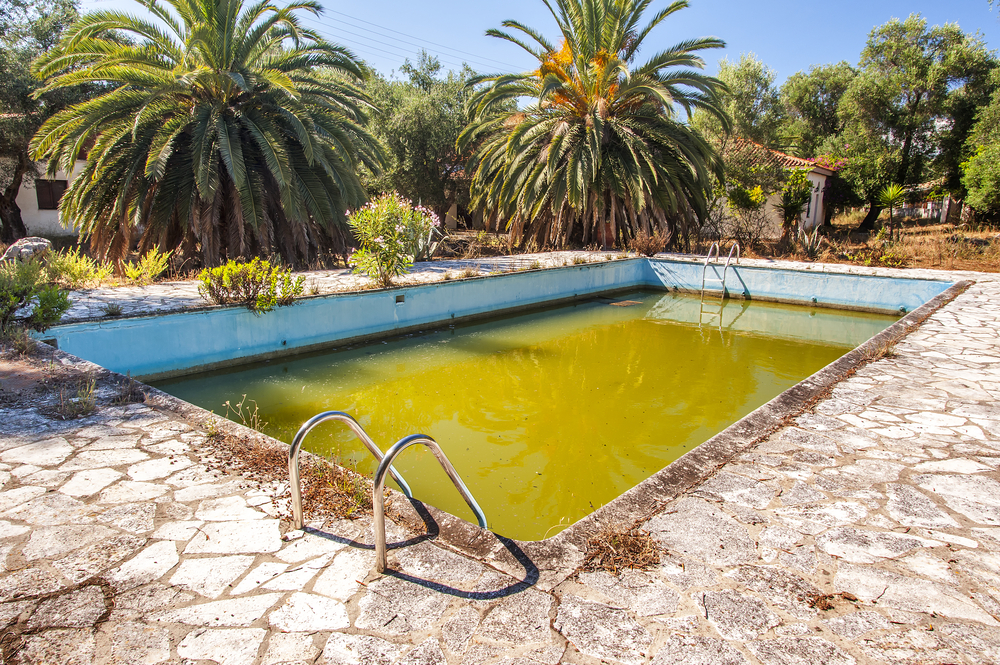 Can I Get Fined For Not Maintaining My Pool in Florida? Can I Get Fined For Having Mosquitos In My Pool in Florida?