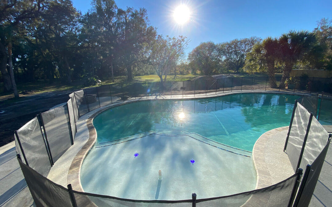 Summer Must-Haves for Your Florida Pool Setup